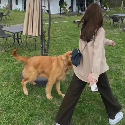 天才麻将少女